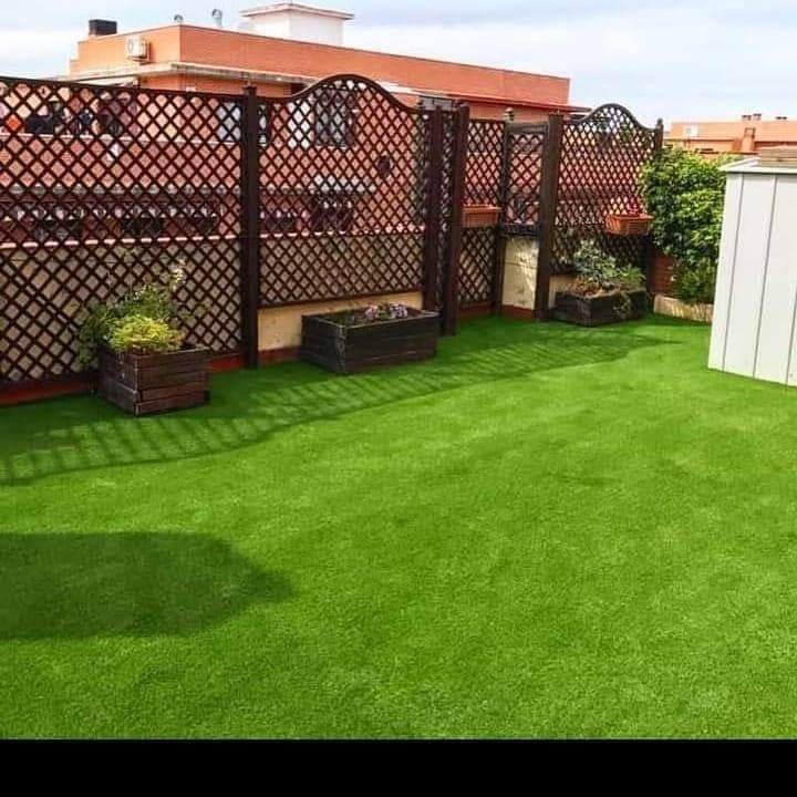 عشب طبيعي بالرياض حي النرجس تصميم حديقة خضراء