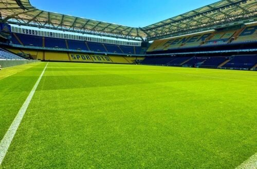 إنشاء ملاعب كرة القدم بالرياض
