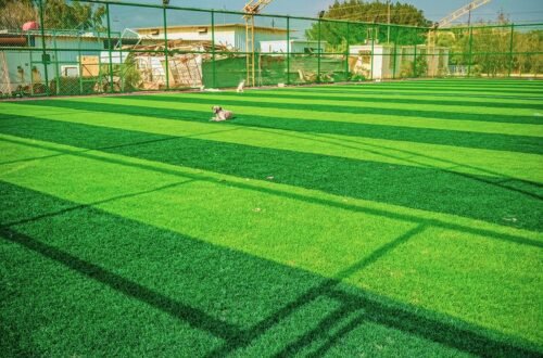 صيانة ملاعب بالرياض