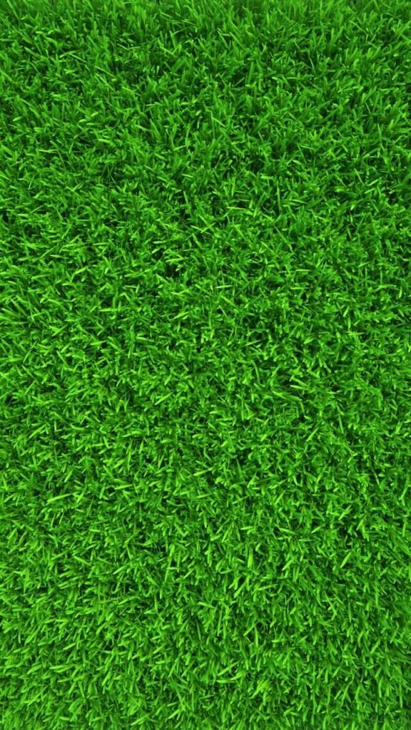 تنظيف الملاعب