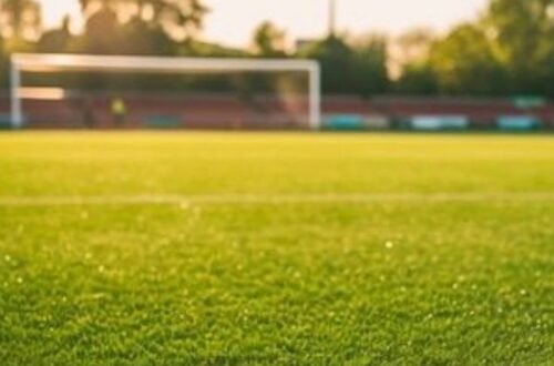 أفضل شركة إنشاء ملاعب بالرياض