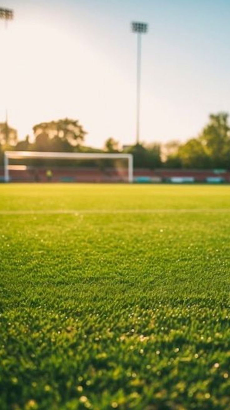 أفضل شركة إنشاء ملاعب بالرياض