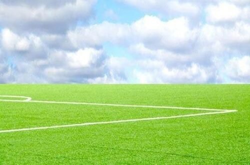 صيانة ملاعب كرة القدم بالرياض