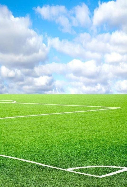 صيانة ملاعب كرة القدم بالرياض