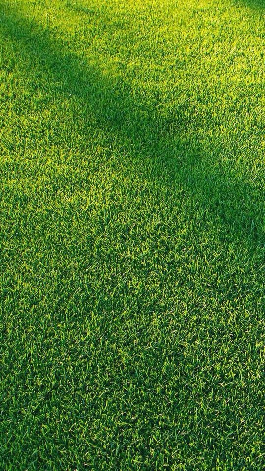 تنظيف العشب الصناعي للملاعب بالرياض